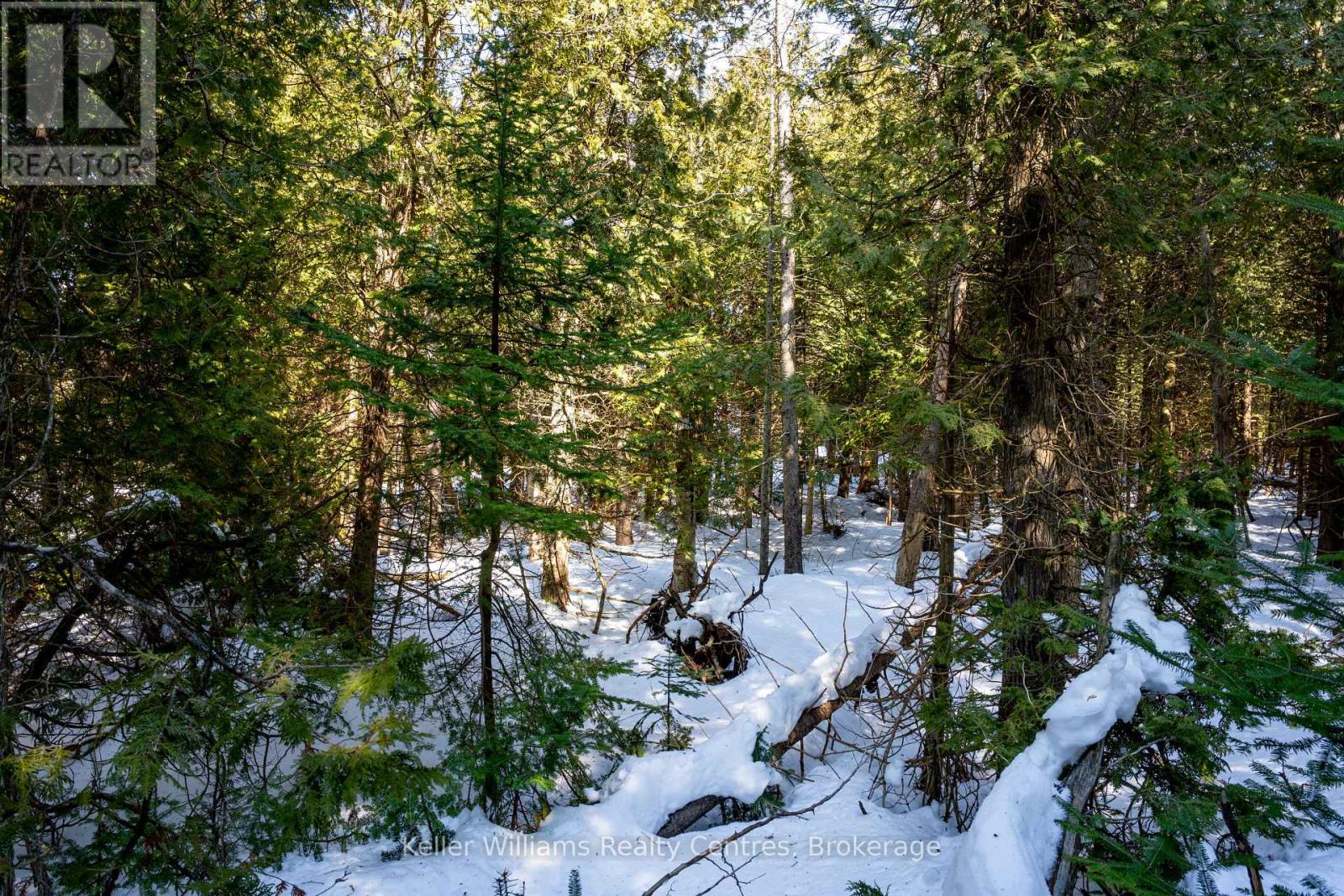 Pt Lt 24 Spry Shore Road, Northern Bruce Peninsula, Ontario  N0H 1W0 - Photo 17 - X12863638