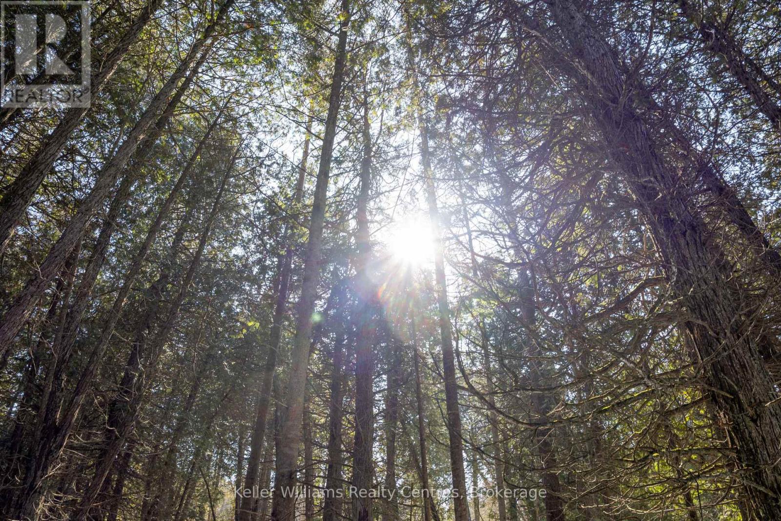 Pt Lt 24 Spry Shore Road, Northern Bruce Peninsula, Ontario  N0H 1W0 - Photo 21 - X12863638