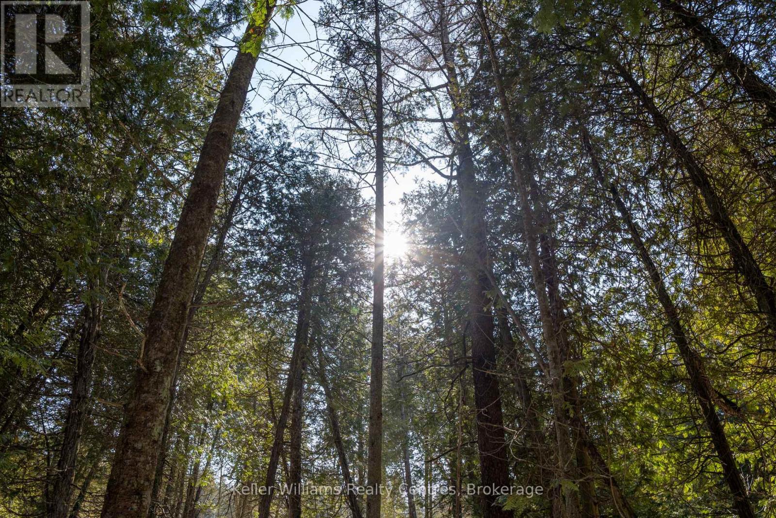Pt Lt 24 Spry Shore Road, Northern Bruce Peninsula, Ontario  N0H 1W0 - Photo 29 - X12863638