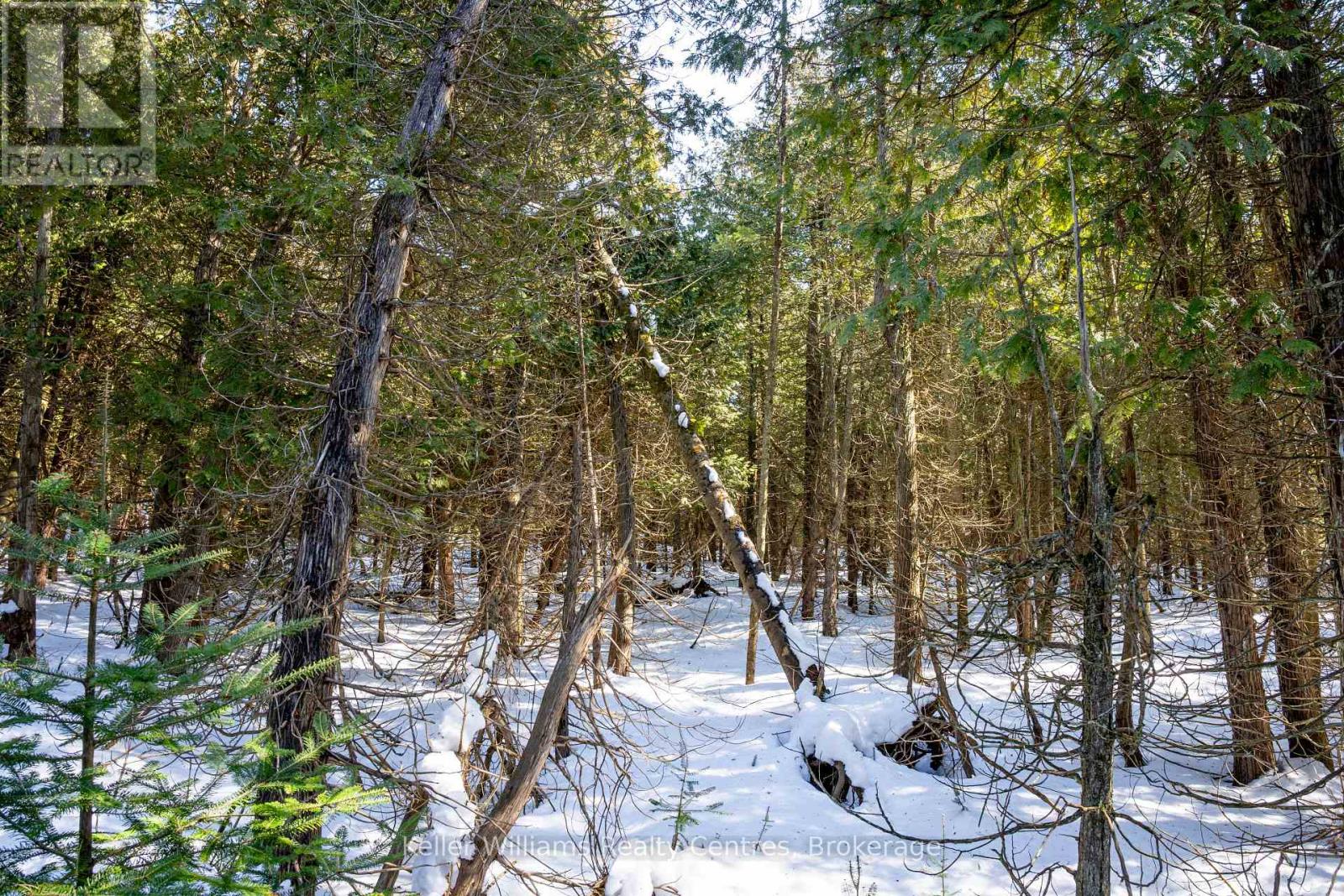 Pt Lt 24 Spry Shore Road, Northern Bruce Peninsula, Ontario  N0H 1W0 - Photo 18 - X12863638