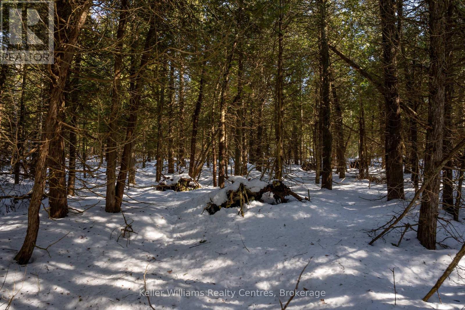 Pt Lt 24 Spry Shore Road, Northern Bruce Peninsula, Ontario  N0H 1W0 - Photo 22 - X12863638