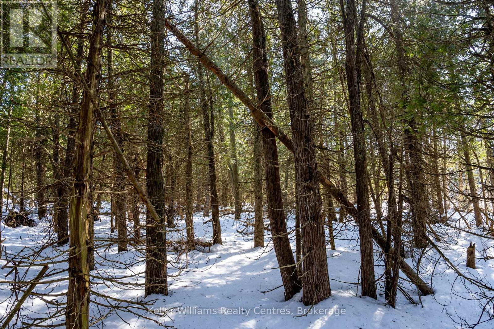 Pt Lt 24 Spry Shore Road, Northern Bruce Peninsula, Ontario  N0H 1W0 - Photo 24 - X12863638