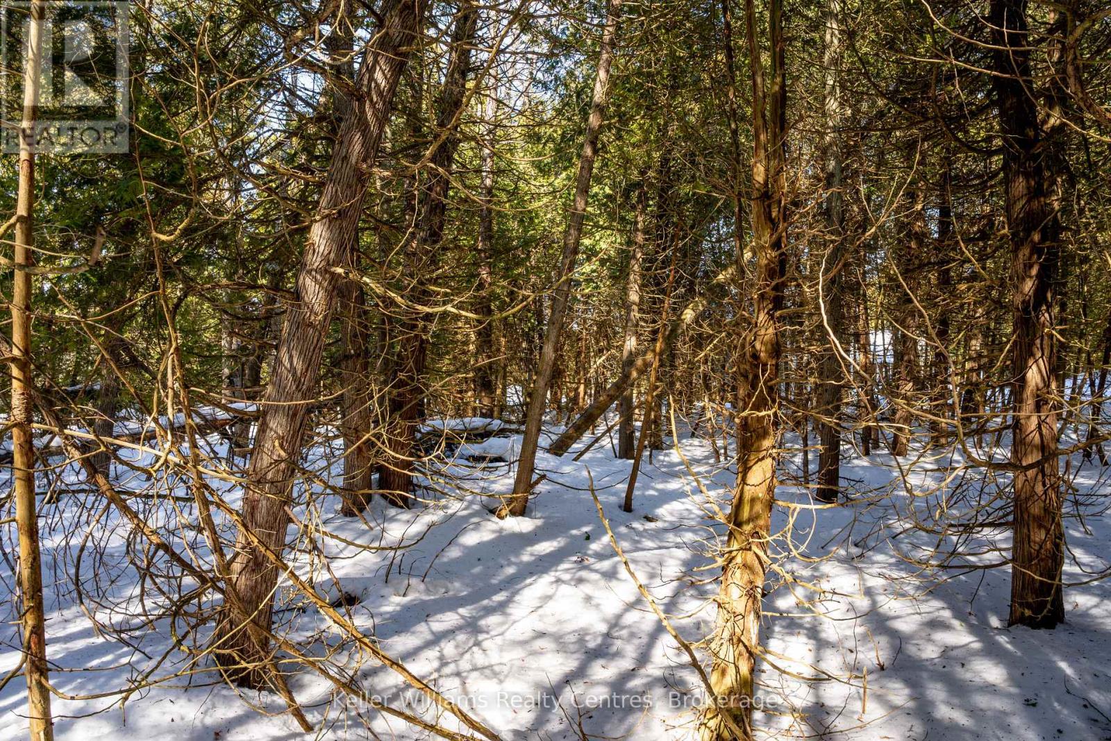 Pt Lt 24 Spry Shore Road, Northern Bruce Peninsula, Ontario  N0H 1W0 - Photo 27 - X12863638