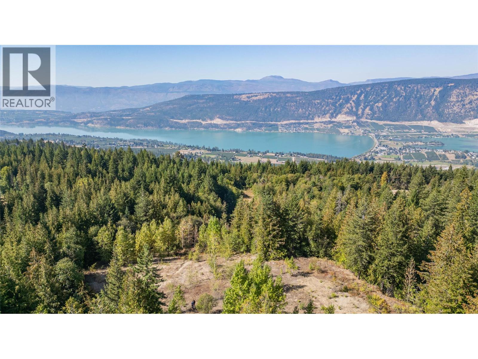 6055 Oyama Lake Road, Oyama, British Columbia  V4V 2C9 - Photo 8 - 10378899