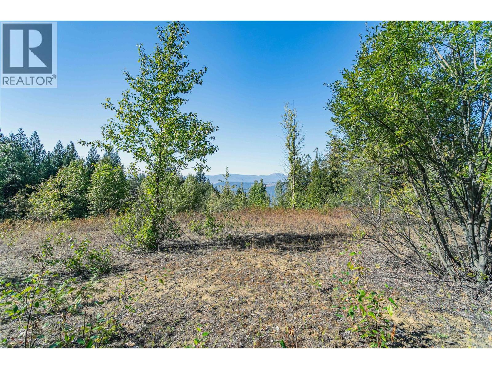 6055 Oyama Lake Road, Oyama, British Columbia  V4V 2C9 - Photo 20 - 10378899