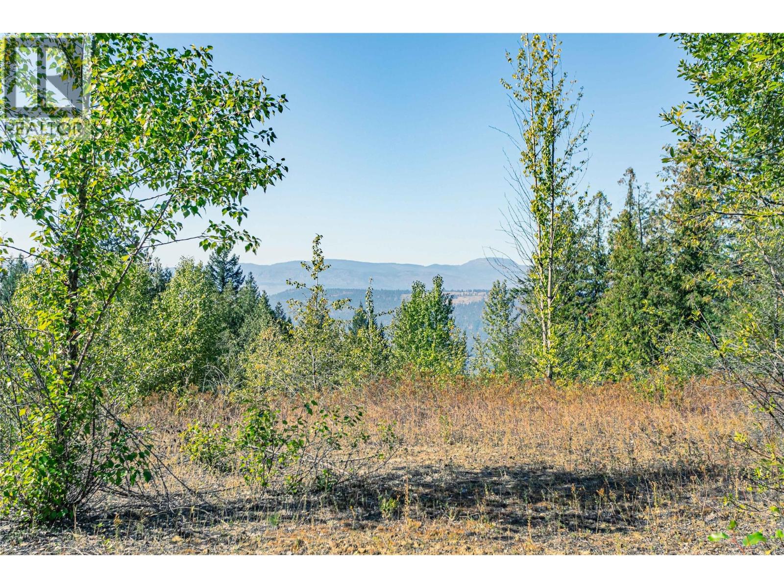 6055 Oyama Lake Road, Oyama, British Columbia  V4V 2C9 - Photo 19 - 10378899