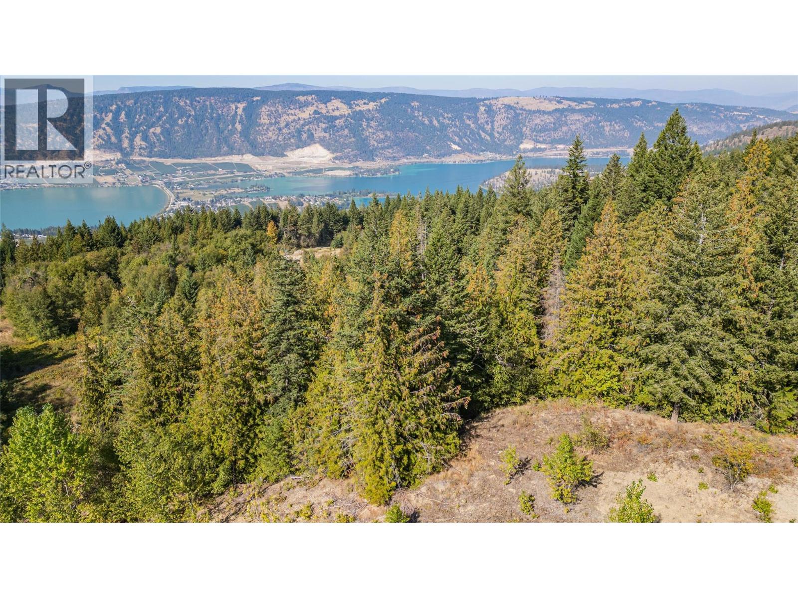 6055 Oyama Lake Road, Oyama, British Columbia  V4V 2C9 - Photo 9 - 10378899