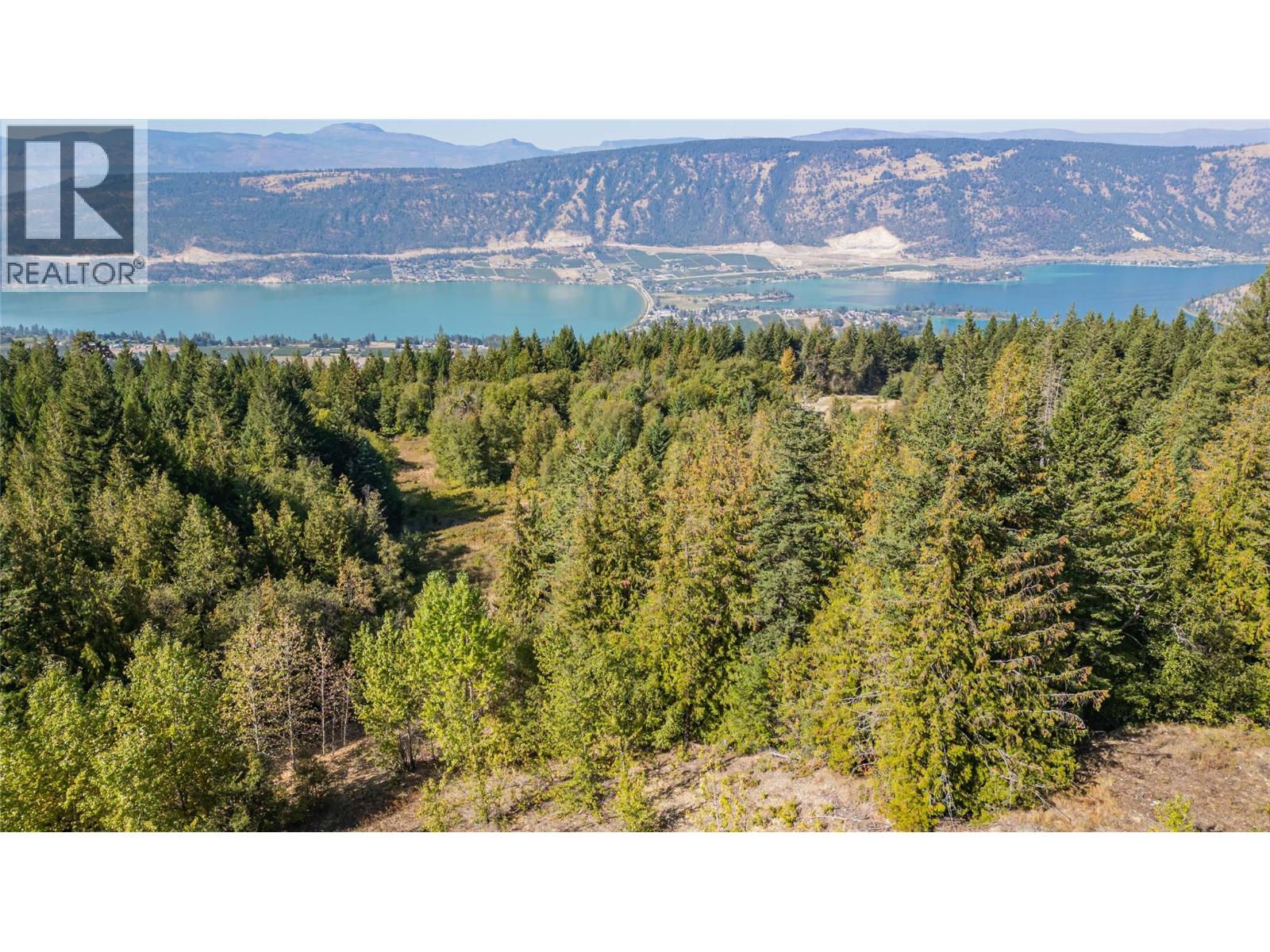 6055 Oyama Lake Road, Oyama, British Columbia  V4V 2C9 - Photo 10 - 10378899