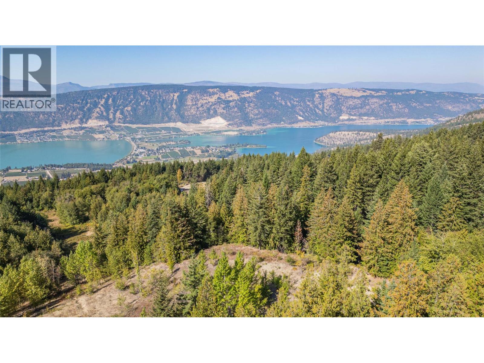 6055 Oyama Lake Road, Oyama, British Columbia  V4V 2C9 - Photo 13 - 10378899