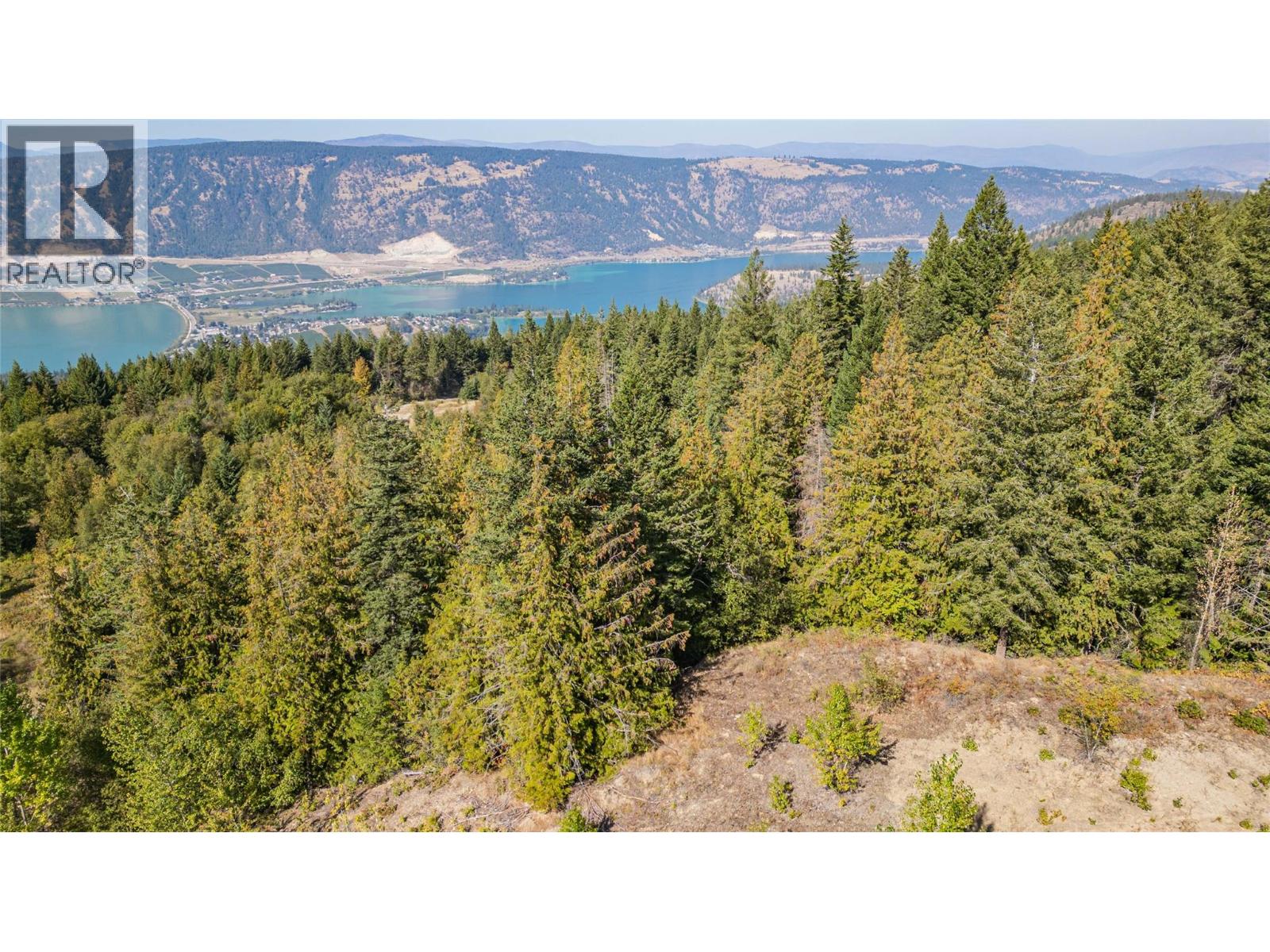 6055 Oyama Lake Road, Oyama, British Columbia  V4V 2C9 - Photo 15 - 10378899