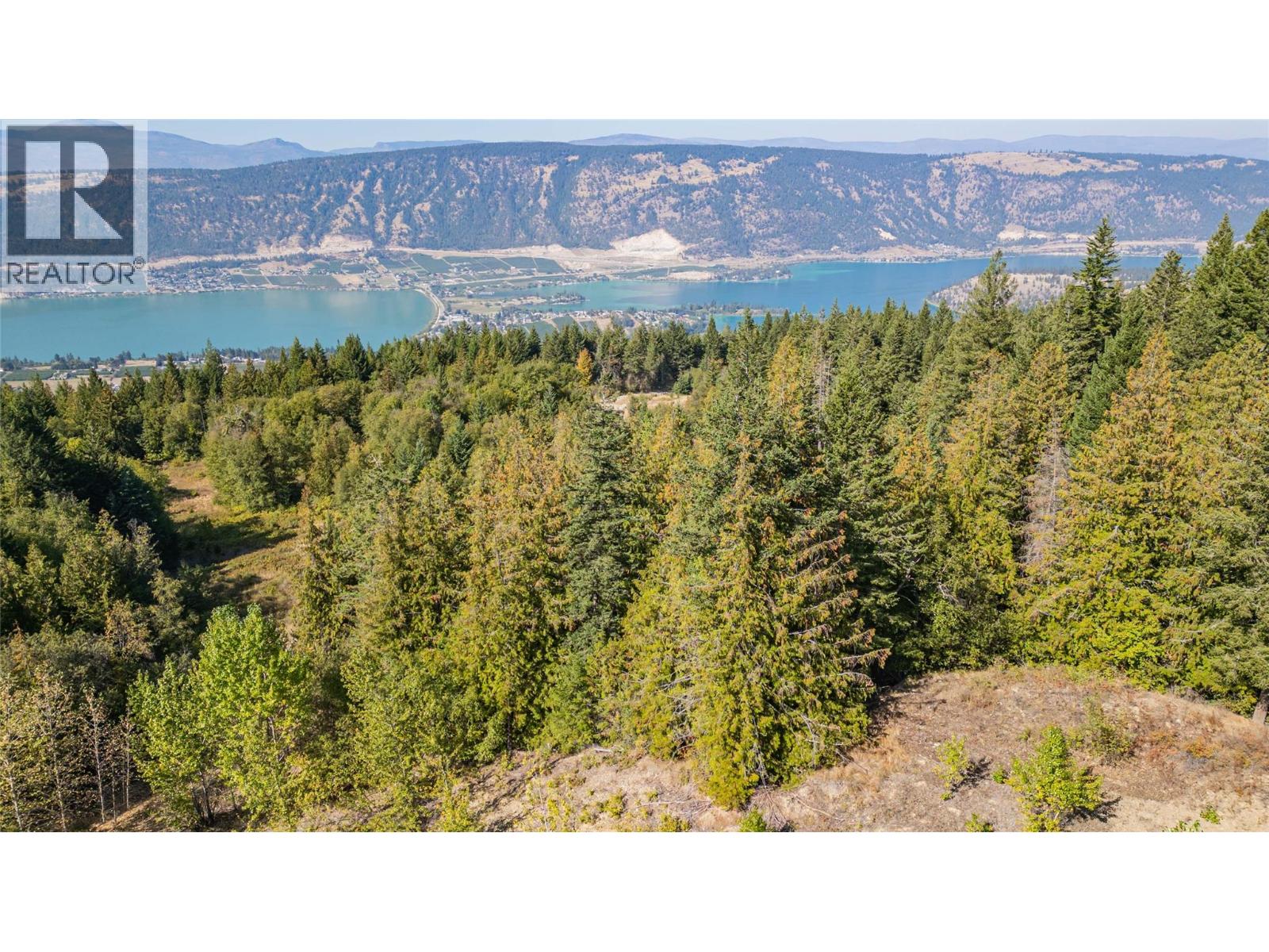 6055 Oyama Lake Road, Oyama, British Columbia  V4V 2C9 - Photo 14 - 10378899