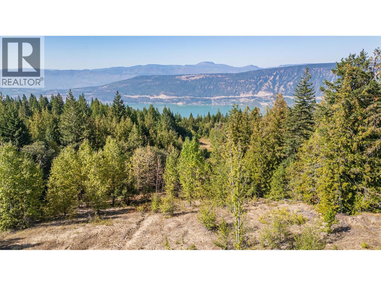 6055 Oyama Lake Road, Oyama, British Columbia  V4V 2C9 - Photo 18 - 10378899
