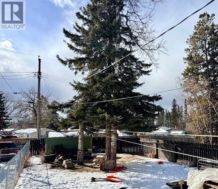 5126 56 Street, Rocky Mountain House, Alberta  T4T 1L5 - Photo 20 - A2289982