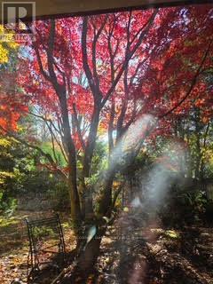 2264 Courrier Lane, Mississauga (Erindale), Ontario  L5C 1V2 - Photo 18 - W12656840