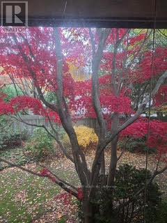 2264 Courrier Lane, Mississauga (Erindale), Ontario  L5C 1V2 - Photo 19 - W12656840