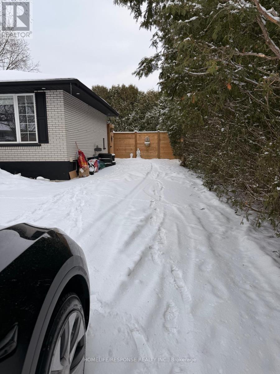 Basement - 31 Varadi Avenue, Brantford, Ontario  N3R 3N2 - Photo 3 - X12868472