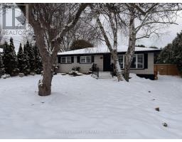 BASEMENT - 31 VARADI AVENUE, Brantford, Ontario