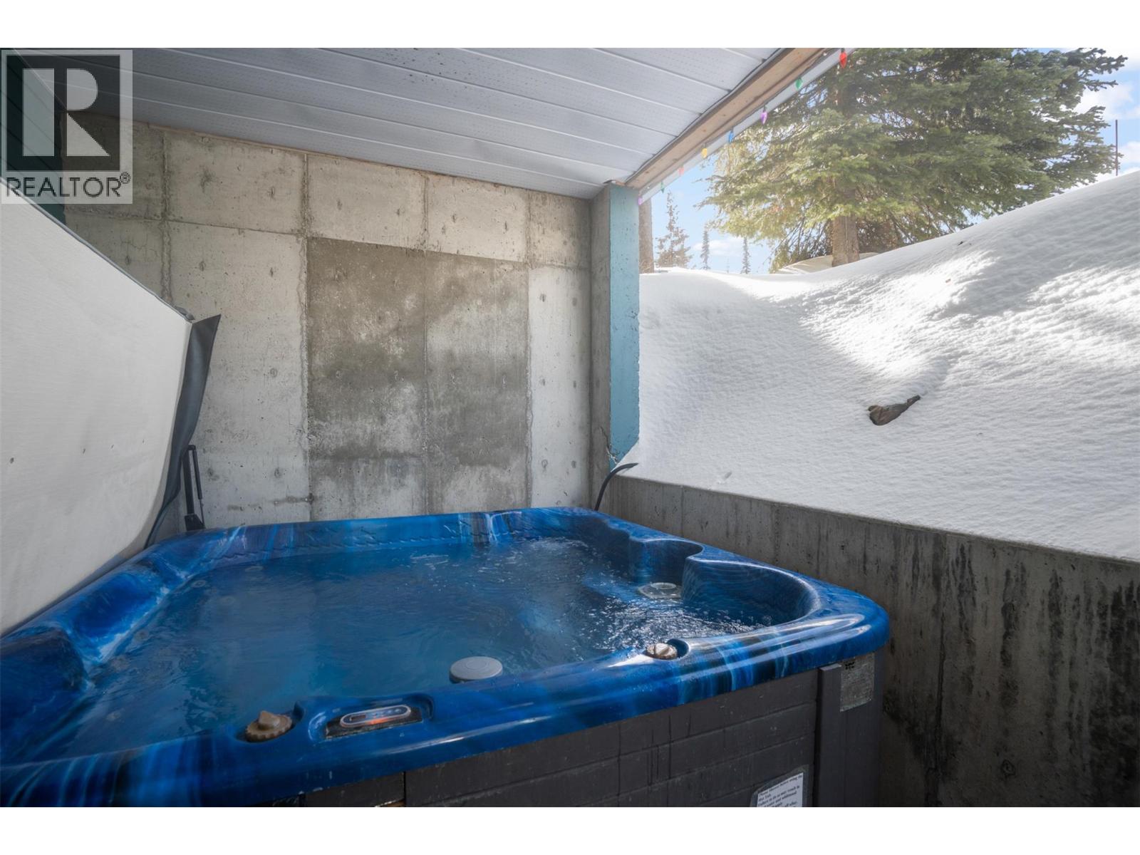 290 Silver Queen Road Unit# 1, Silver Star, British Columbia  V1B 0S5 - Photo 30 - 10377752