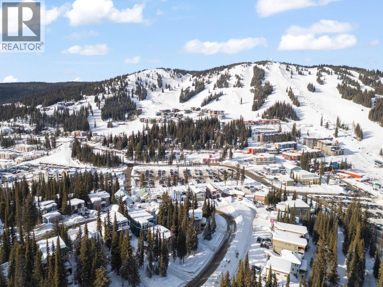 290 Silver Queen Road Unit# 1, Silver Star, British Columbia  V1B 0S5 - Photo 46 - 10377752