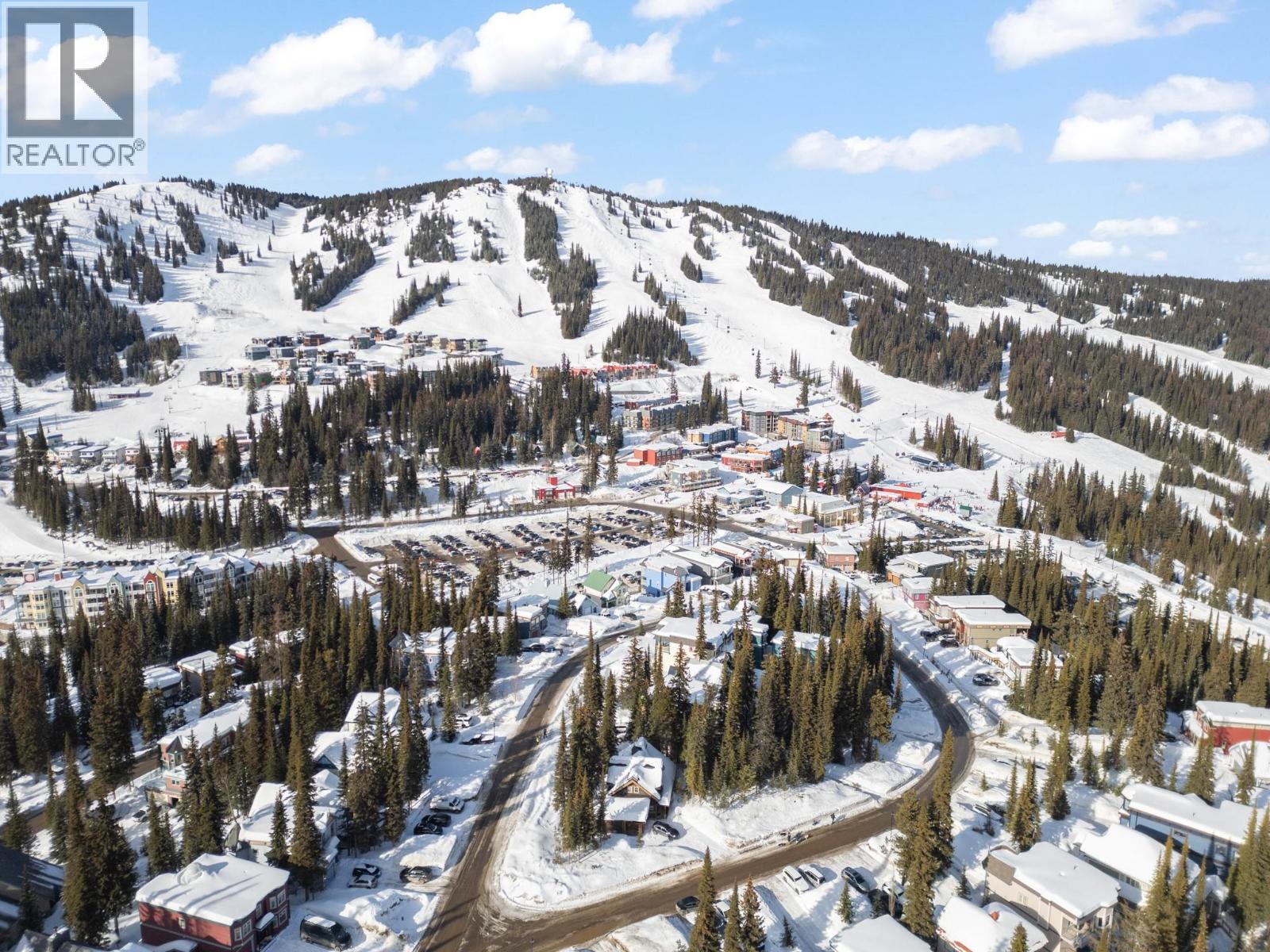 290 Silver Queen Road Unit# 1, Silver Star, British Columbia  V1B 0S5 - Photo 48 - 10377752