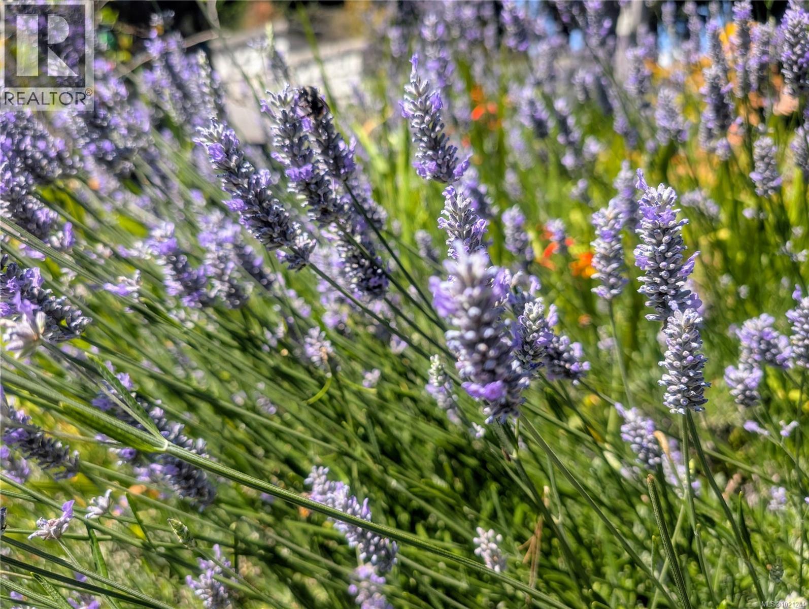 1375 Beddis Rd, Salt Spring, British Columbia  V8K 2C9 - Photo 23 - 1021244