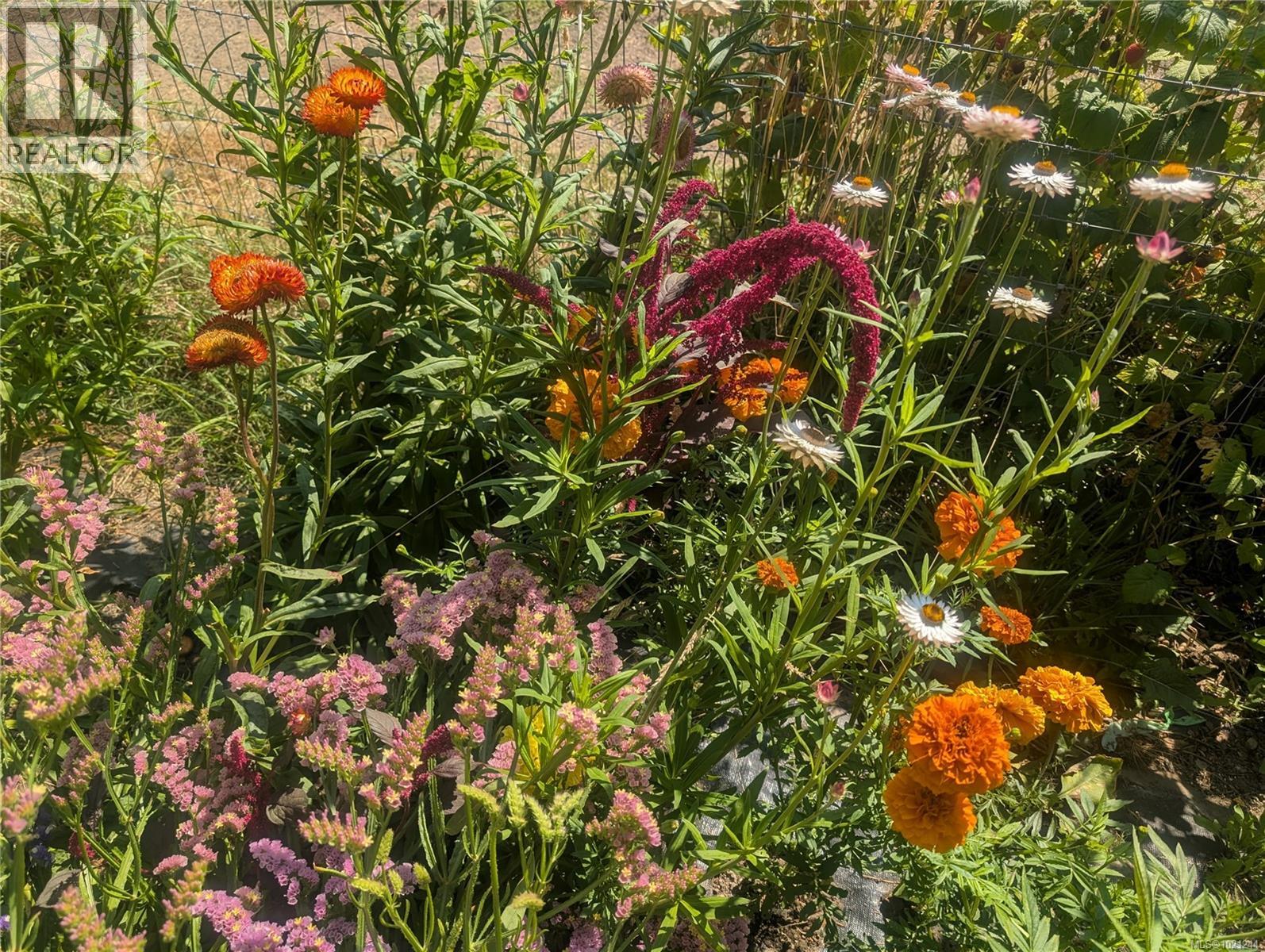 1375 Beddis Rd, Salt Spring, British Columbia  V8K 2C9 - Photo 60 - 1021244