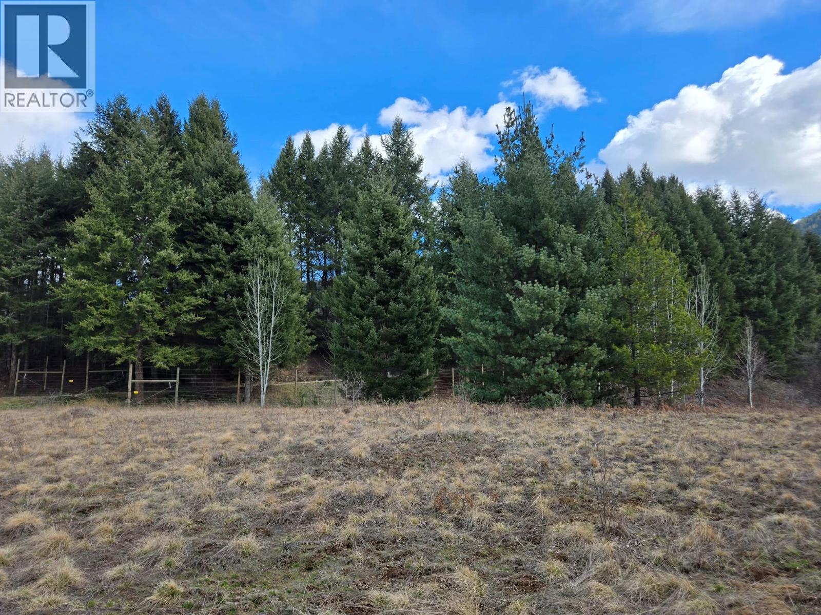 Lot 5 Bridgeview Road, Castlegar, British Columbia  V1N 4K9 - Photo 8 - 10378831