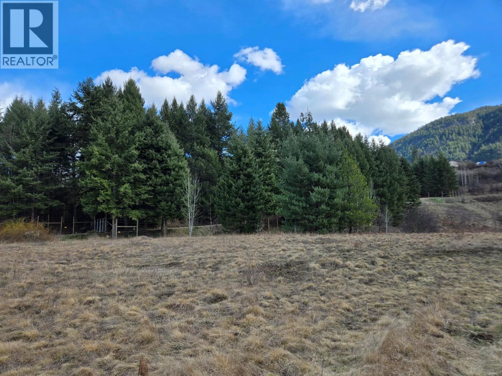 Lot 5 Bridgeview Road, Castlegar, British Columbia  V1N 4K9 - Photo 1 - 10378831