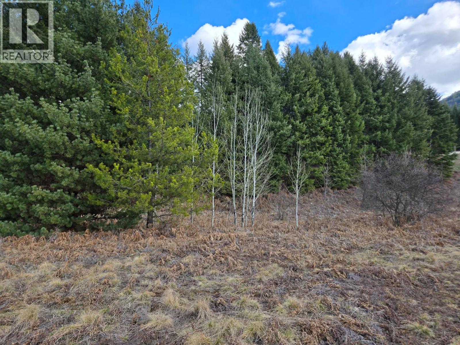 Lot 5 Bridgeview Road, Castlegar, British Columbia  V1N 4K9 - Photo 11 - 10378831