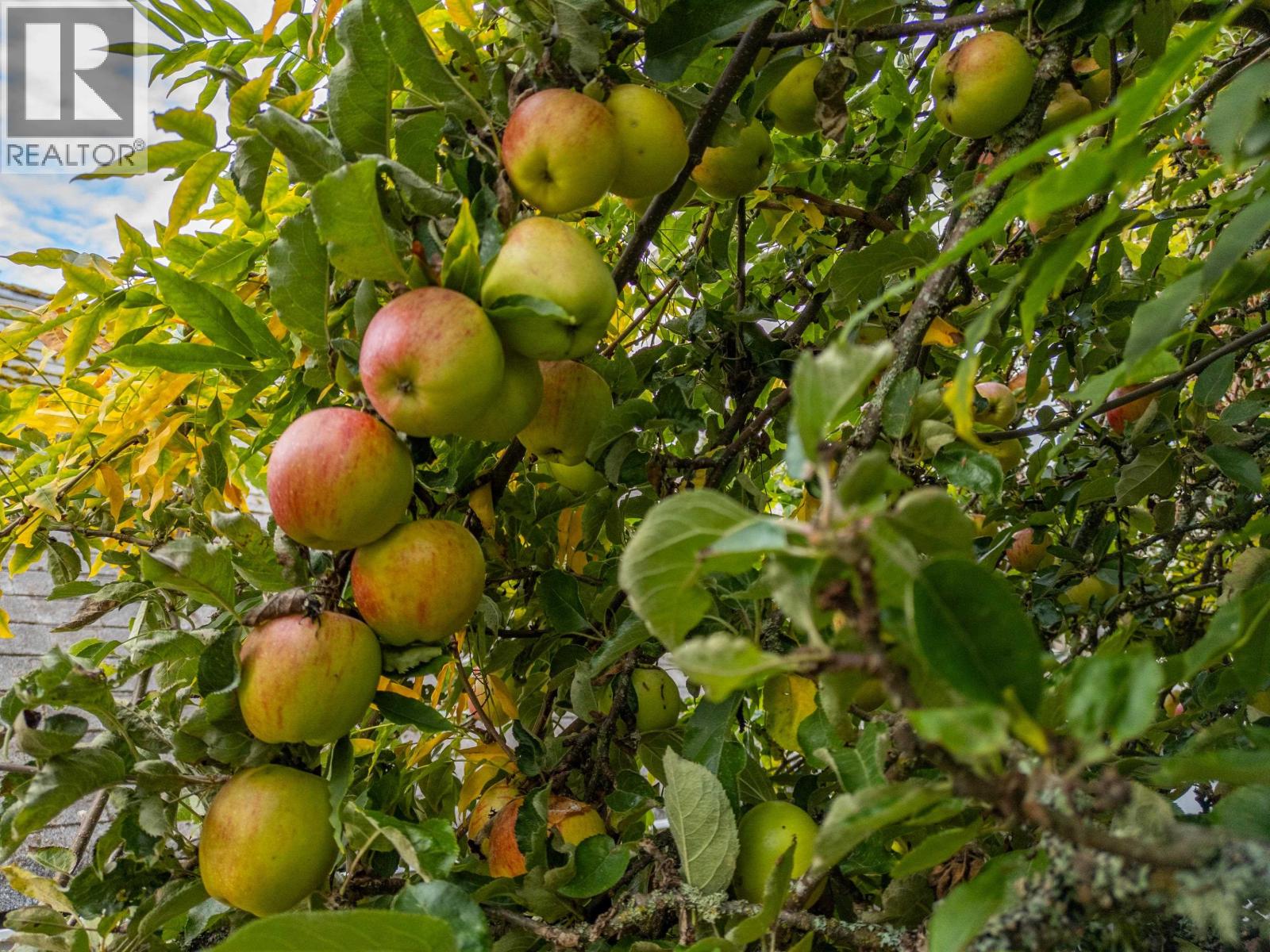 105 Madrona Road, Galiano Island, British Columbia  V0N 1P0 - Photo 23 - R2939136