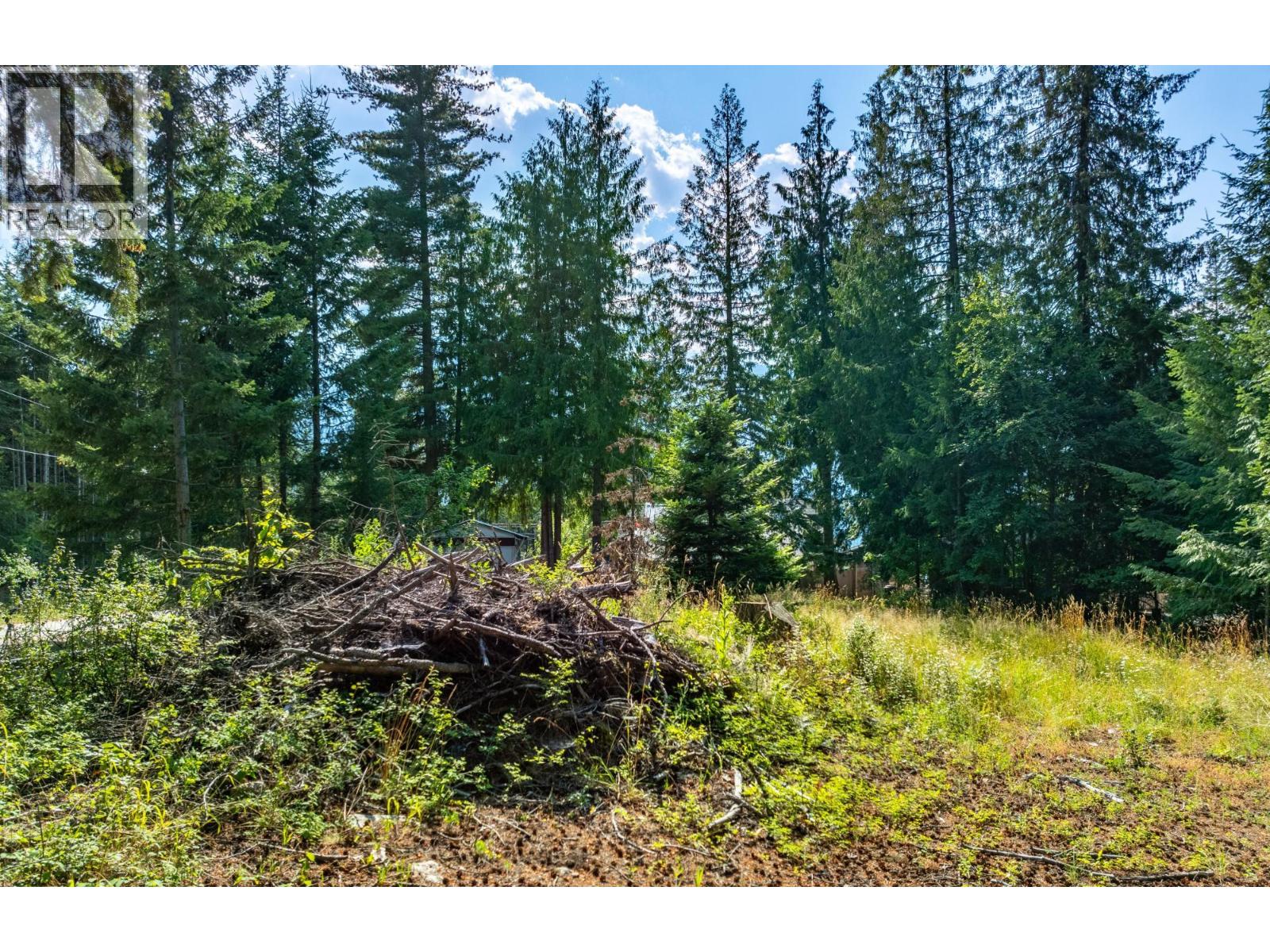 13523 Mountain Shores Road, Creston, British Columbia  V0B 1A4 - Photo 3 - 10378234