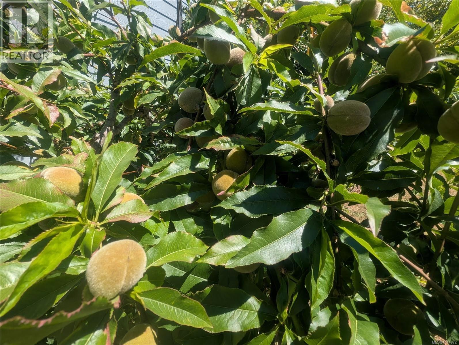 1214 North Beach Rd, Salt Spring, British Columbia  V8K 1B3 - Photo 57 - 1014972