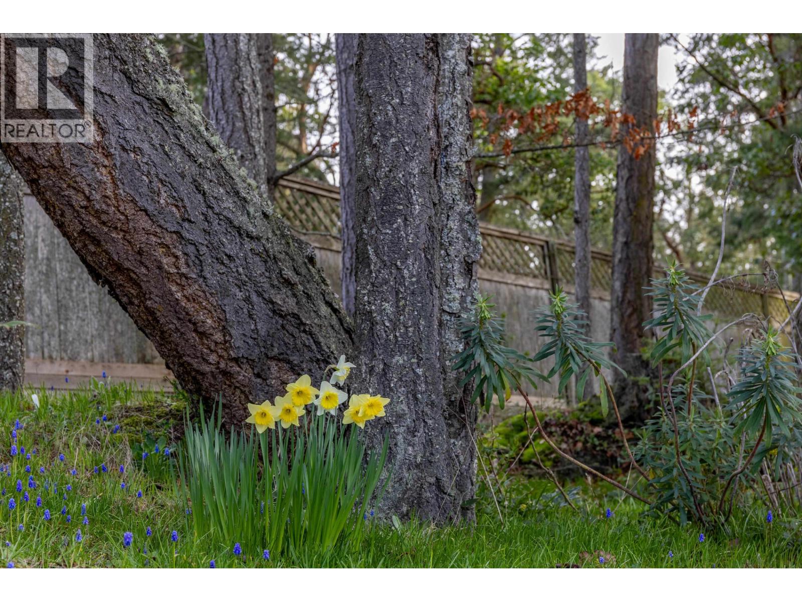 90 Gulf Drive, Galiano Island, British Columbia  V0N 1P0 - Photo 37 - R2981056