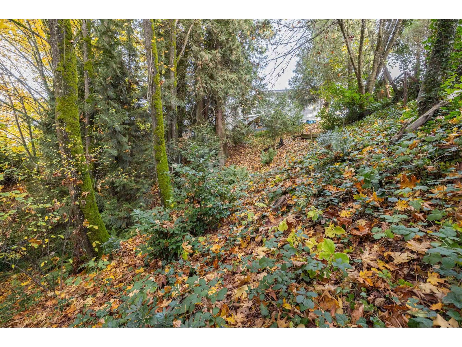 32410 Diamond Avenue, Mission, British Columbia  V2V 1M2 - Photo 30 - R3063720