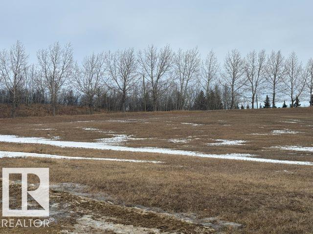 1 Country Club Es, Rural Wetaskiwin County, Alberta  T9A 2G3 - Photo 5 - E4476793