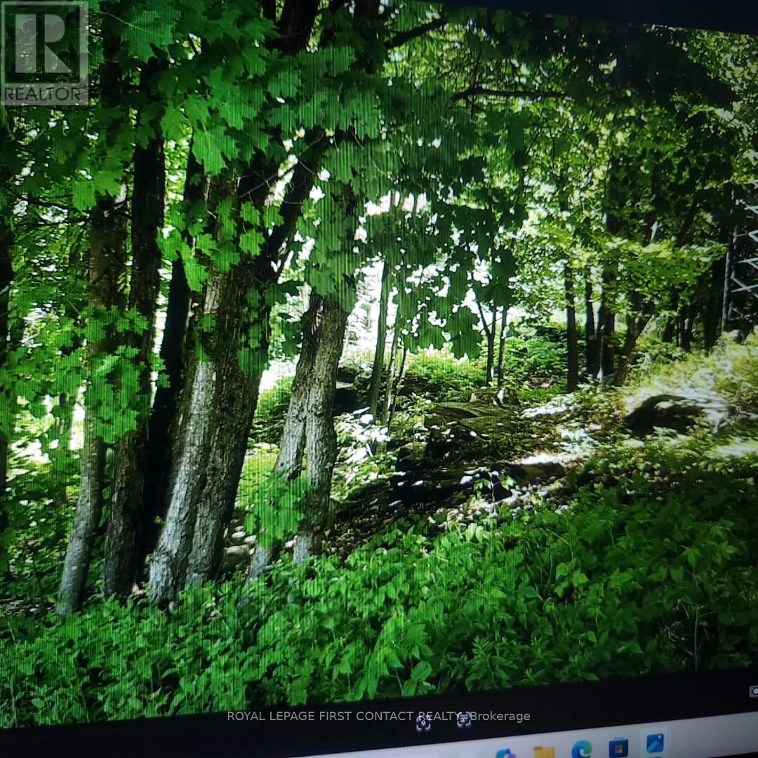 1073 Cedar Beach Road, Bracebridge, Ontario  P1L 1W8 - Photo 35 - X12868808