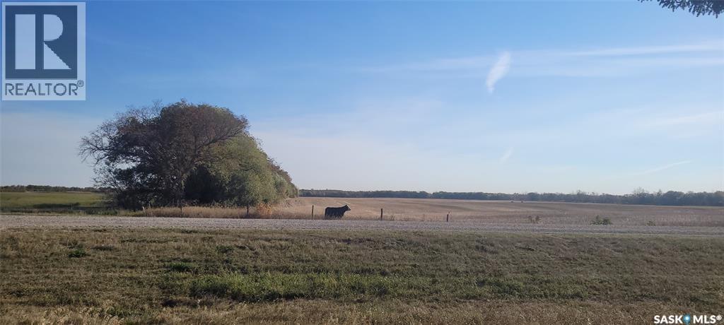 Duck Lake Acreage Land, Duck Lake Rm No. 463, Saskatchewan  S0K 1J0 - Photo 5 - SK030147