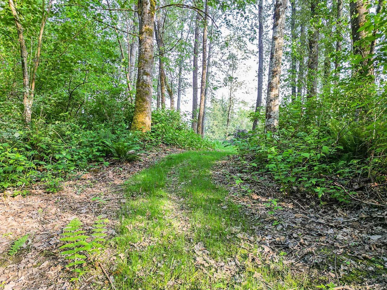 44190 Malcolm Road, Mission, British Columbia  V0M 1N0 - Photo 33 - R3098307