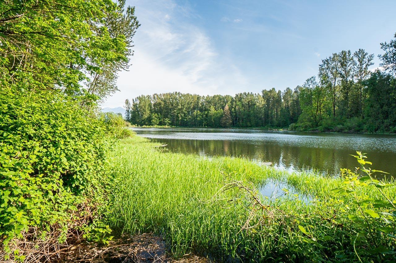 44190 Malcolm Road, Mission, British Columbia  V0M 1N0 - Photo 29 - R3098307