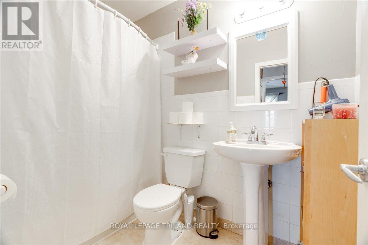 250 Greenwood Avenue, London South, Ontario  N6J 3G4 - Photo 27 - X12860258