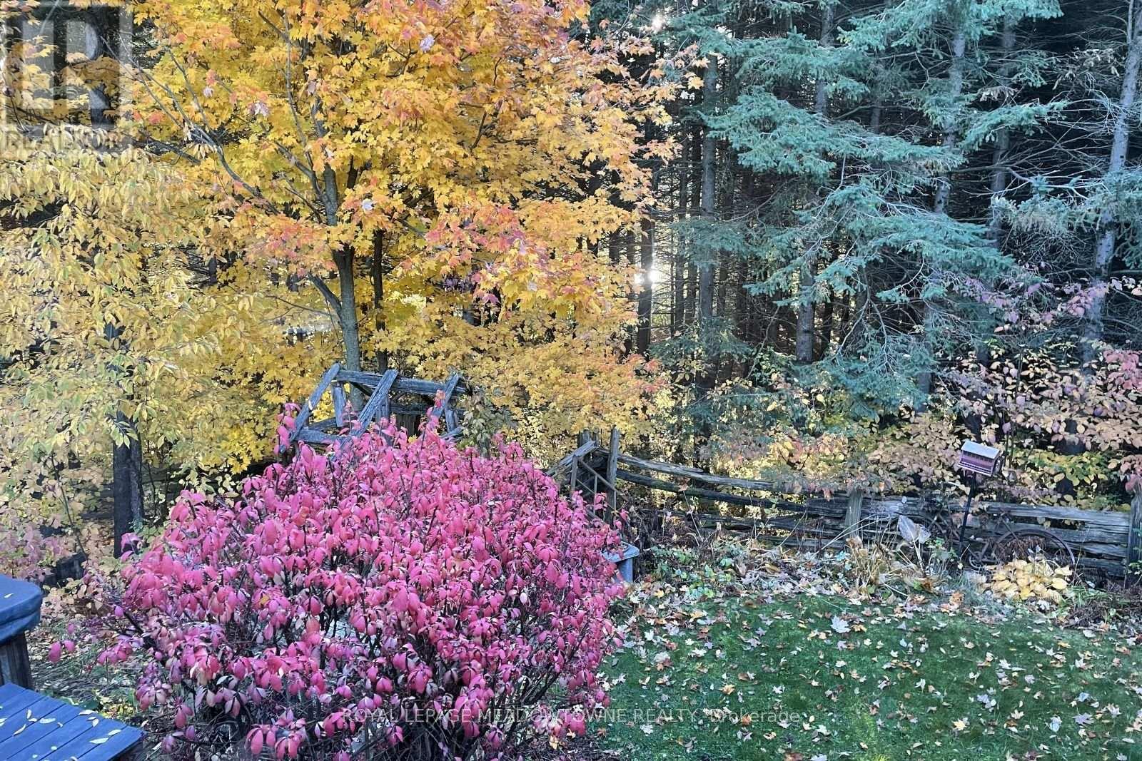 5977 Fifth Line, Erin, Ontario  N0B 1Z0 - Photo 43 - X12868864