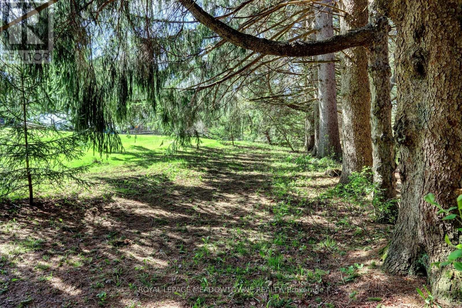 5977 Fifth Line, Erin, Ontario  N0B 1Z0 - Photo 44 - X12868864