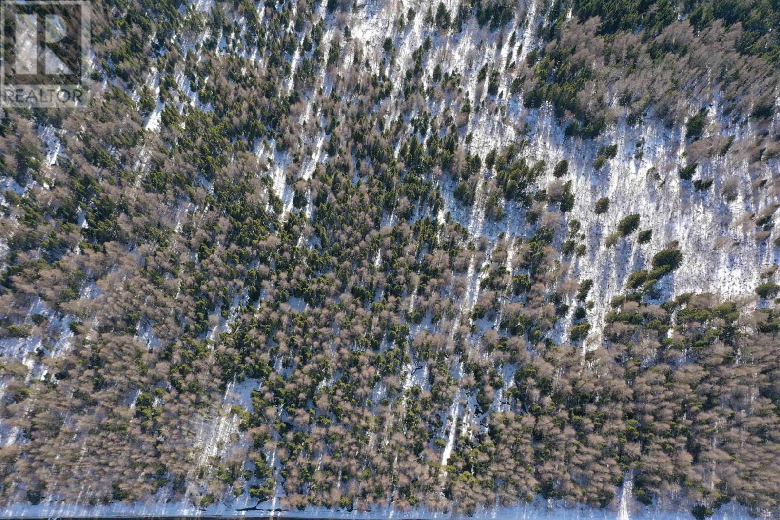 Whycocomagh-Port Hood Road, Southwest Mabou, Nova Scotia  B0E 1X0 - Photo 13 - 202604277