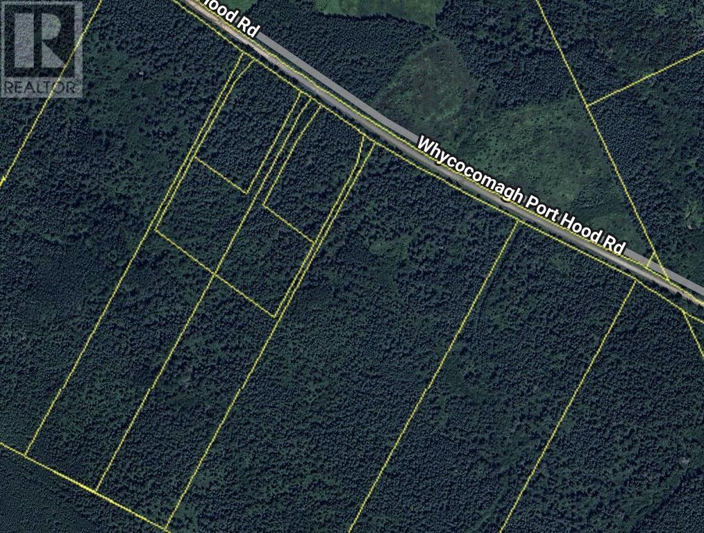 Whycocomagh-Port Hood Road, Southwest Mabou, Nova Scotia  B0E 1X0 - Photo 24 - 202604277