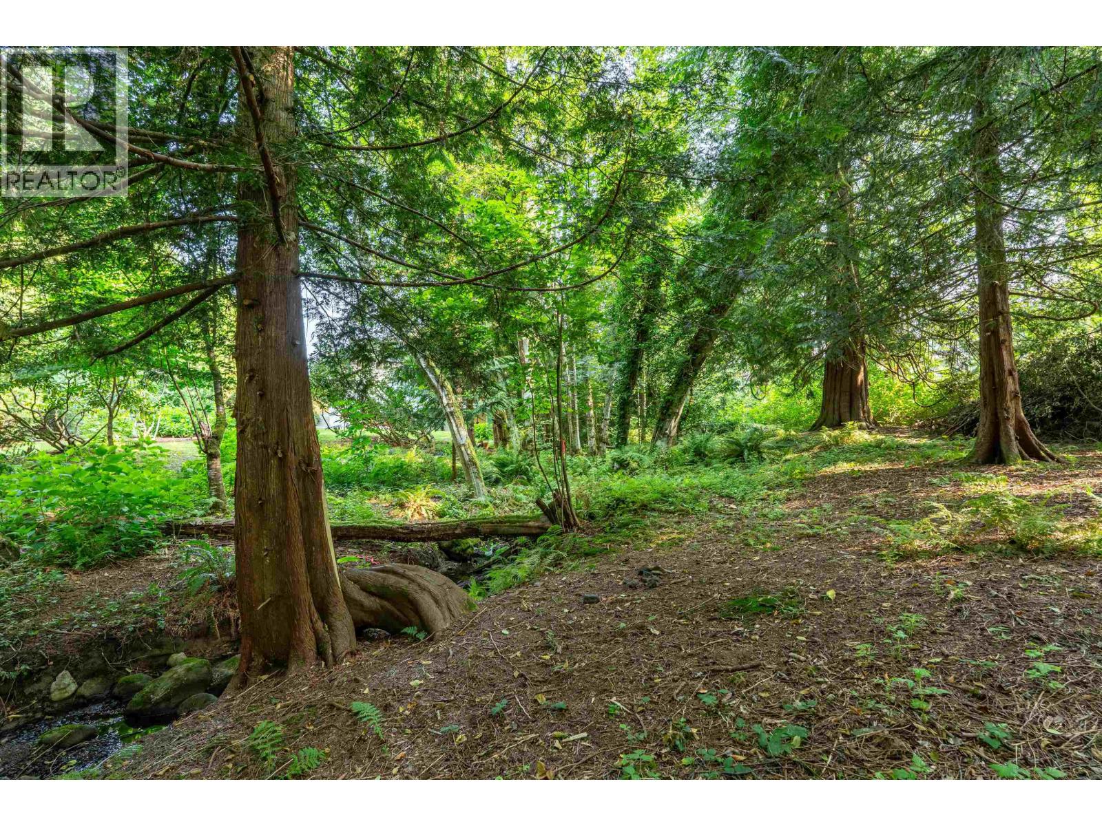 23140 136 Avenue, Maple Ridge, British Columbia  V4R 2R5 - Photo 32 - R3098542