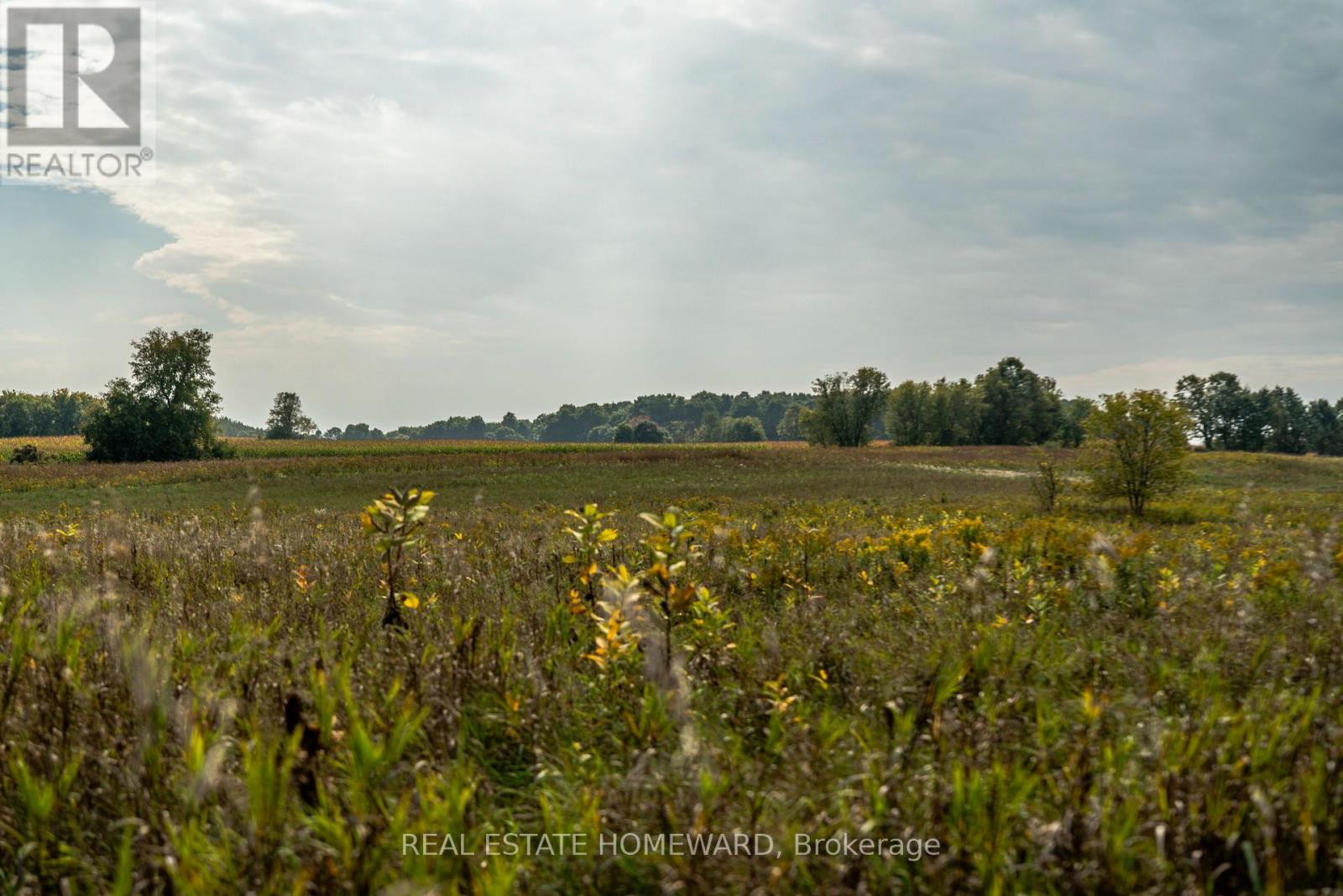 1430 County Rd 50 S, Adjala-Tosorontio, Ontario  L0N 1P0 - Photo 14 - N9362823