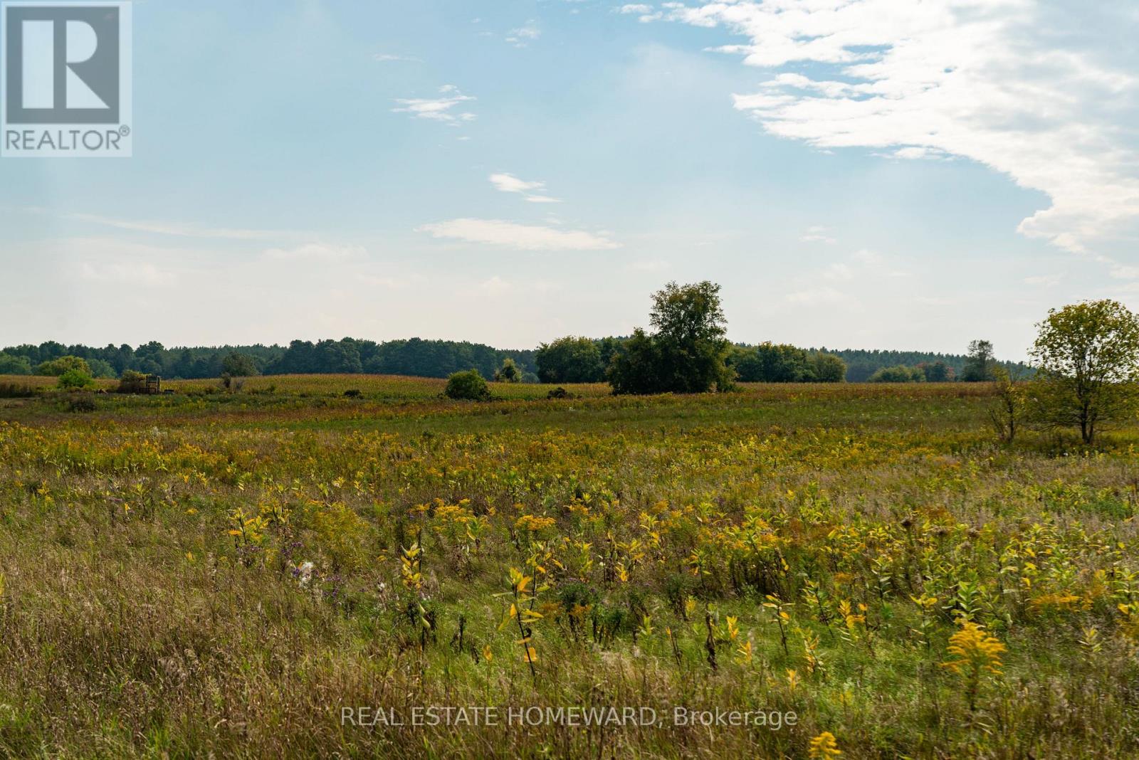 1430 County Rd 50 S, Adjala-Tosorontio, Ontario  L0N 1P0 - Photo 12 - N9362823