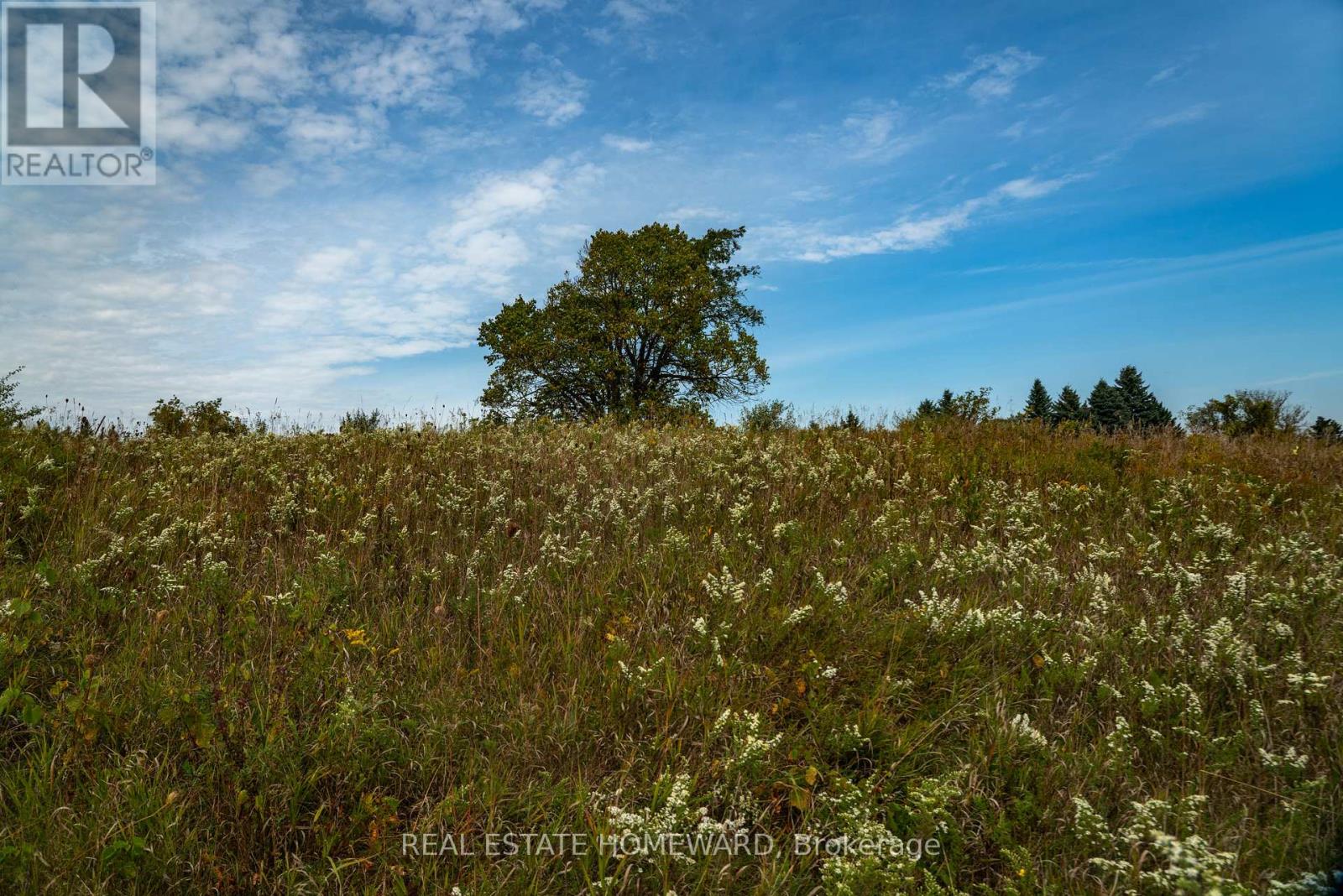 1430 County Rd 50 S, Adjala-Tosorontio, Ontario  L0N 1P0 - Photo 8 - N9362823