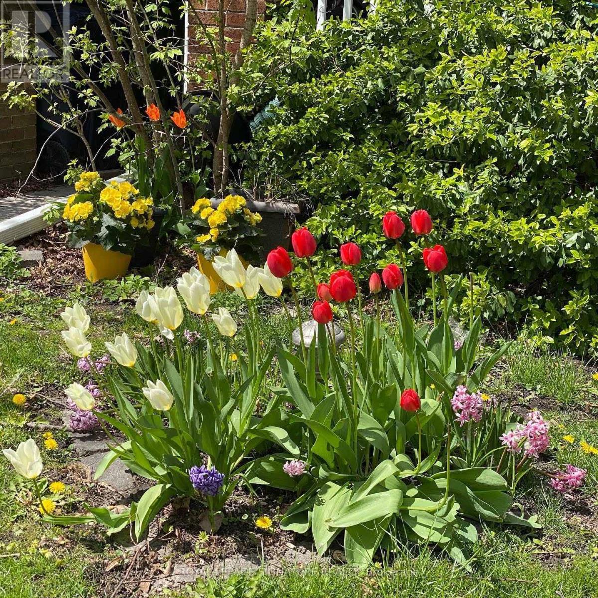 32 Kerr Road, Toronto, Ontario  M4L 1K4 - Photo 35 - E12869006