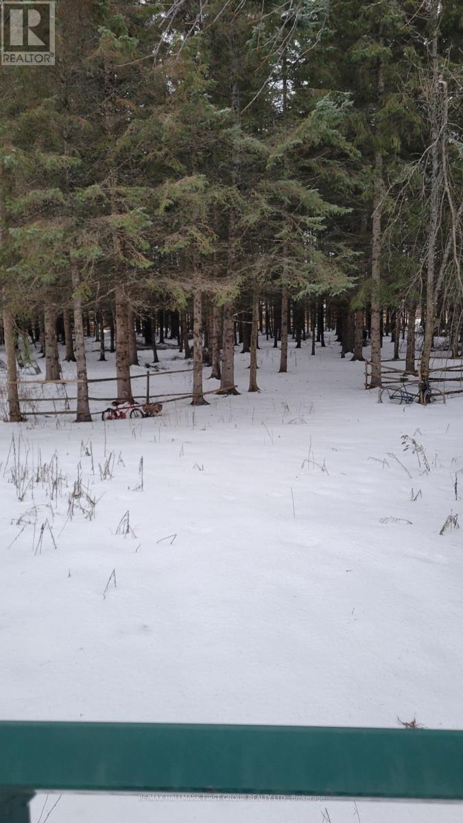 8 St. Marks Road, Stirling-Rawdon (Rawdon Ward), Ontario  K0K 2M0 - Photo 3 - X12665330